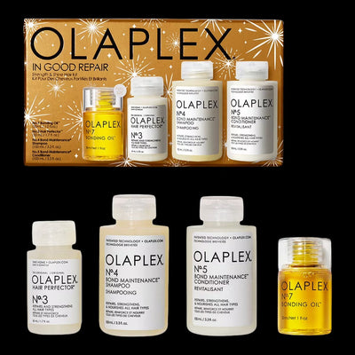 In Good Repair Strength & Shine Hair Kit