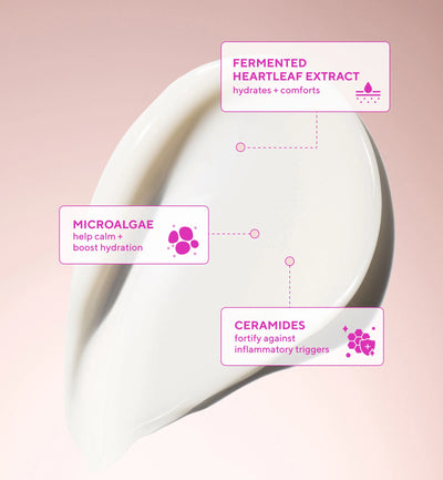 Heartleaf Calming Cream Moisturizer
