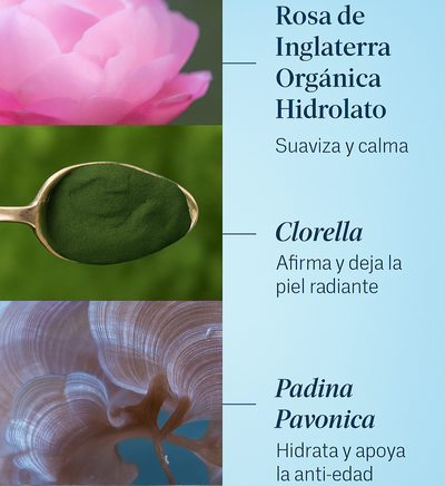Pro-Collagen Rose Cleansing Balm