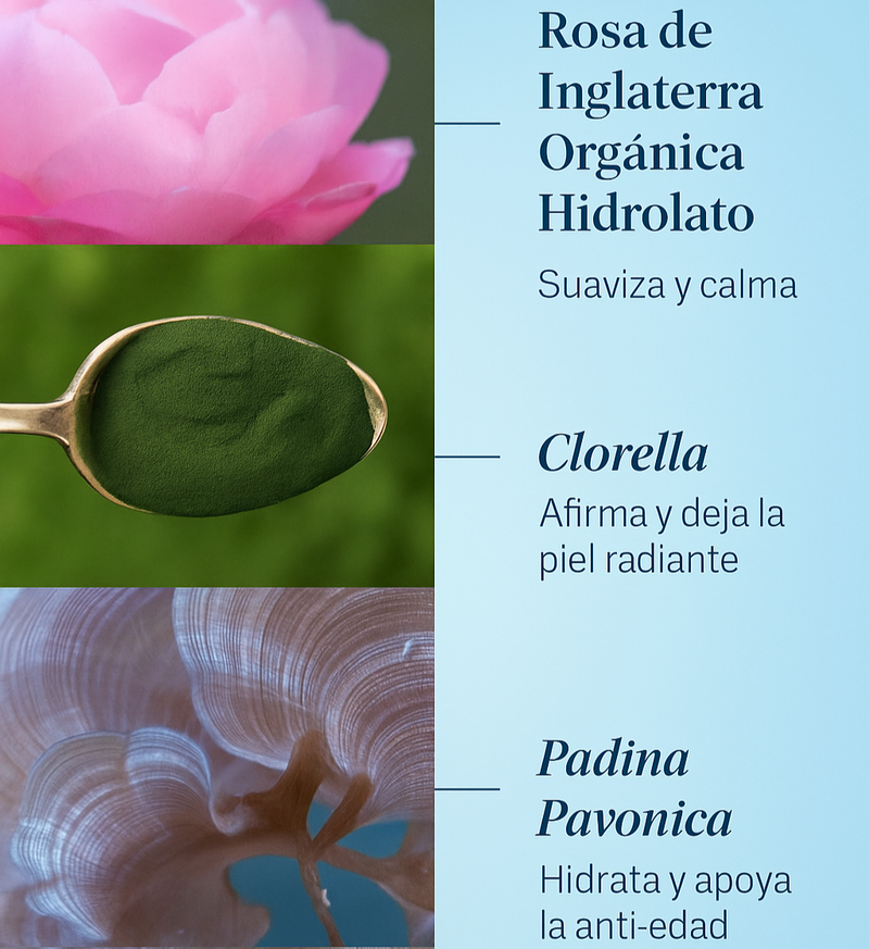 Pro-Collagen Rose Cleansing Balm