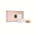 Delicious & Decadent Ambre Vanille Collection