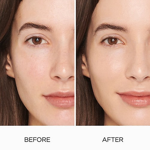 Tinted Moisturizer Natural Skin Perfector SPF 30