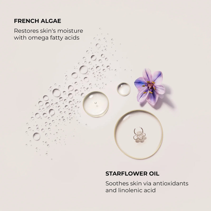 Ambre Vanille Serum Body Cream Jumbo