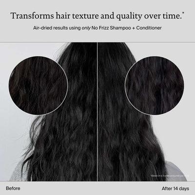 No Frizz Conditioner