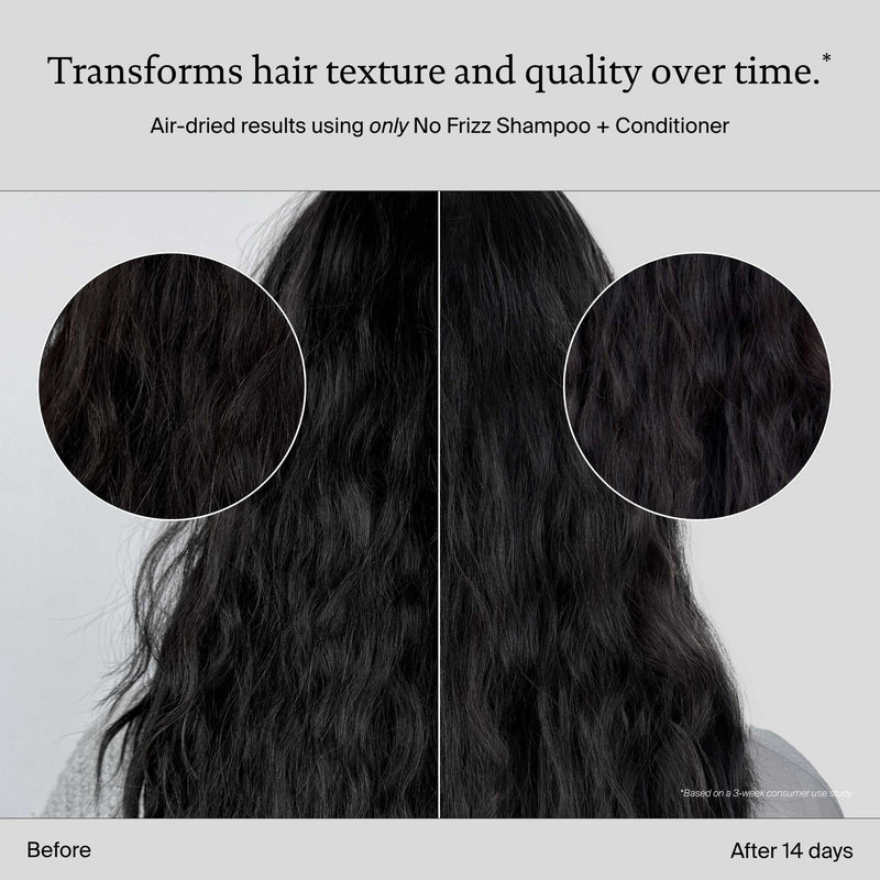 No Frizz Conditioner