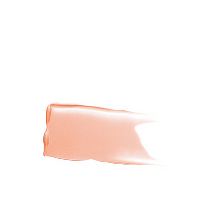 Eye Basics Primer