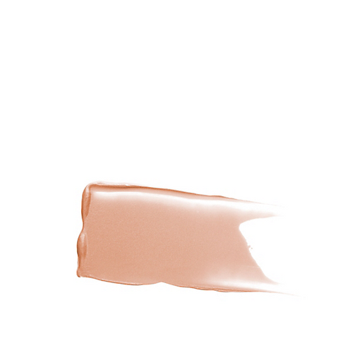 Eye Basics Primer