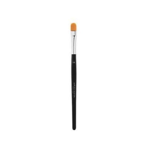 A 18 Pro Brush Precise Conceal